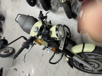 Lumas Lime Jawa forty two