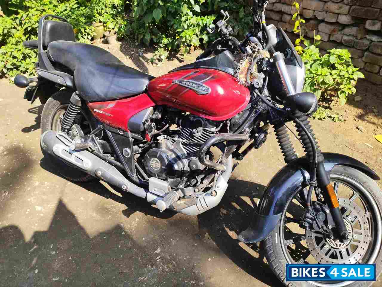Bajaj Avenger Street 160 BS6 Bajaj Avenger Street 160 BS6