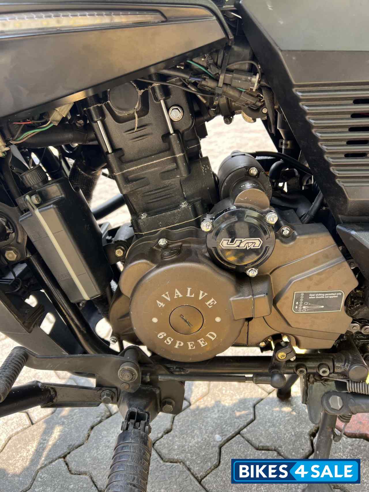 Red UM Renegade Sports S