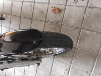 Auburn Black Bajaj Avenger Cruise 220 BS6