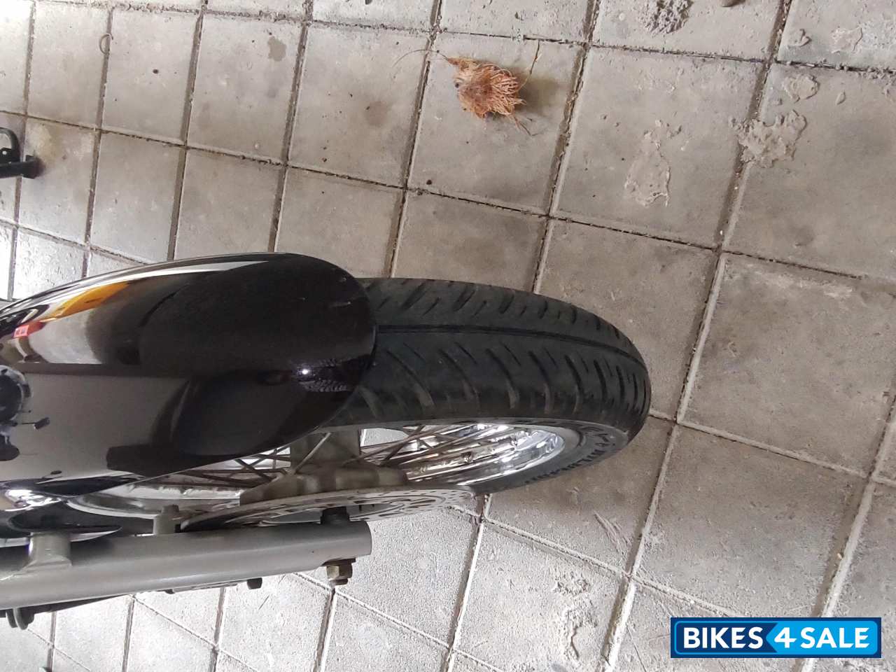 Auburn Black Bajaj Avenger Cruise 220 BS6