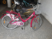 Pink Bicycle Hero
