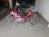 Pink Bicycle Hero