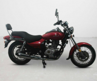 Bajaj Avenger 180 DTS-i
