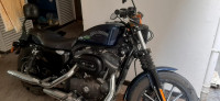 Harley Davidson Iron 883 2013 Model