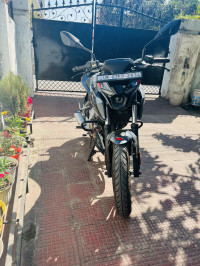 Techno Grey Bajaj Pulsar N250