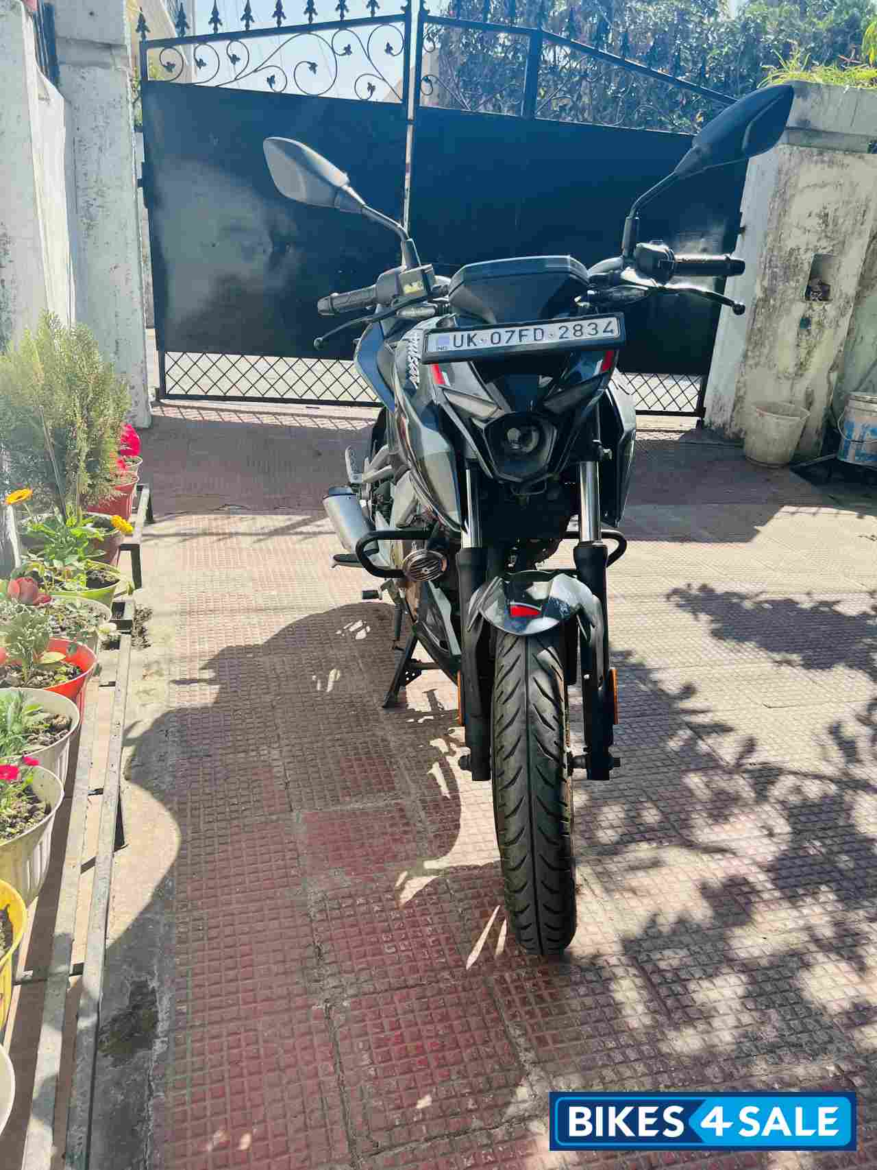 Techno Grey Bajaj Pulsar N250