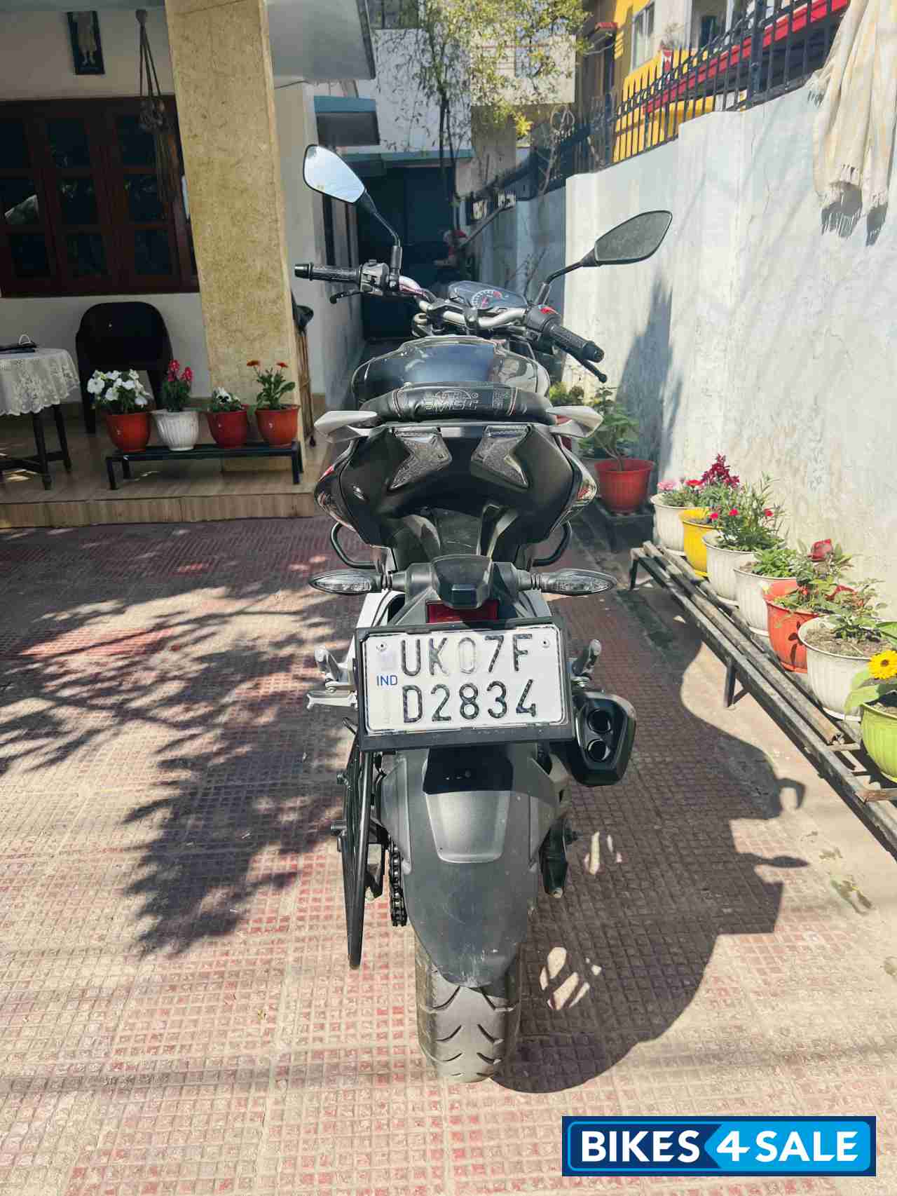 Techno Grey Bajaj Pulsar N250