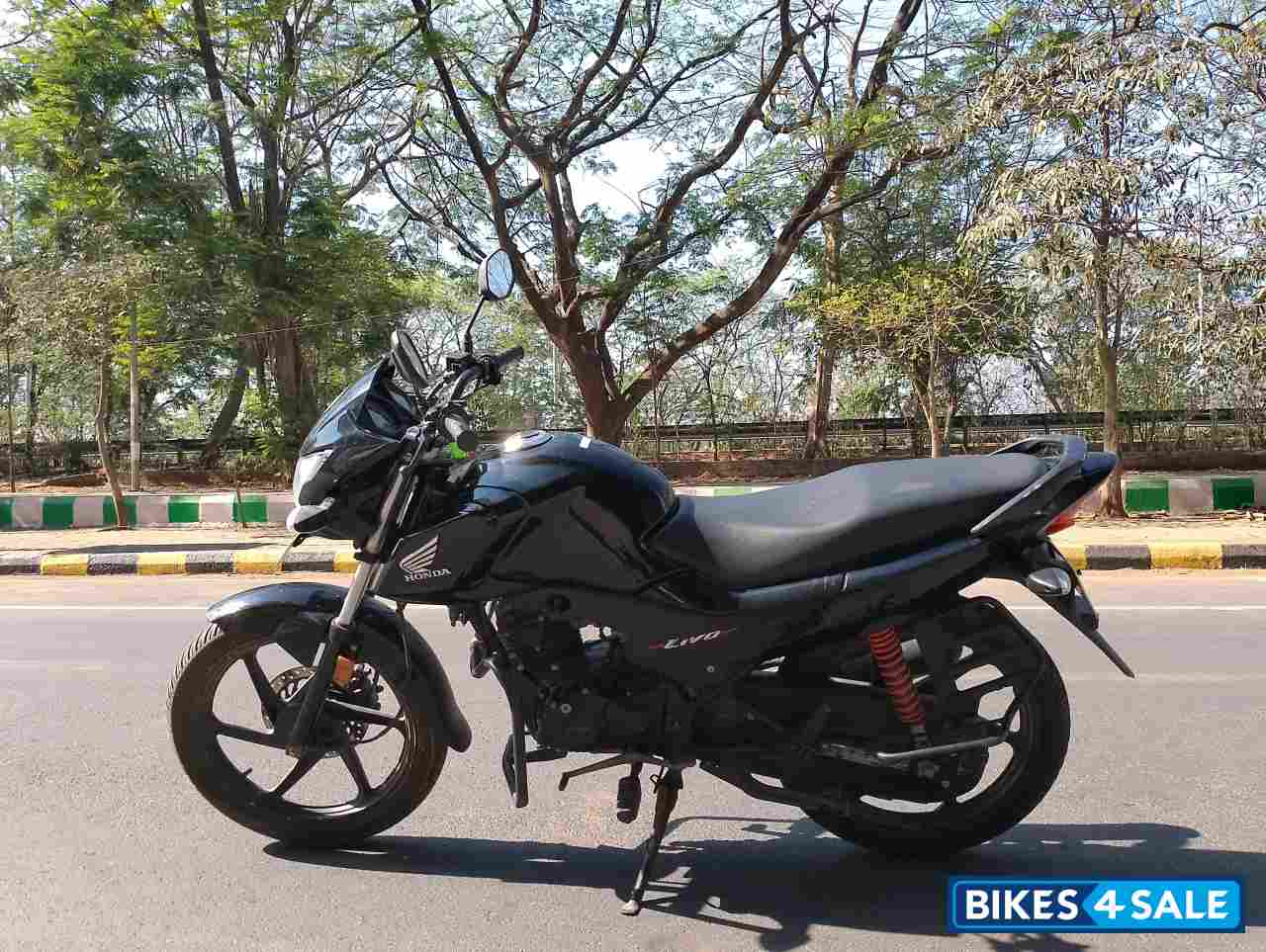 Black Honda Livo 110