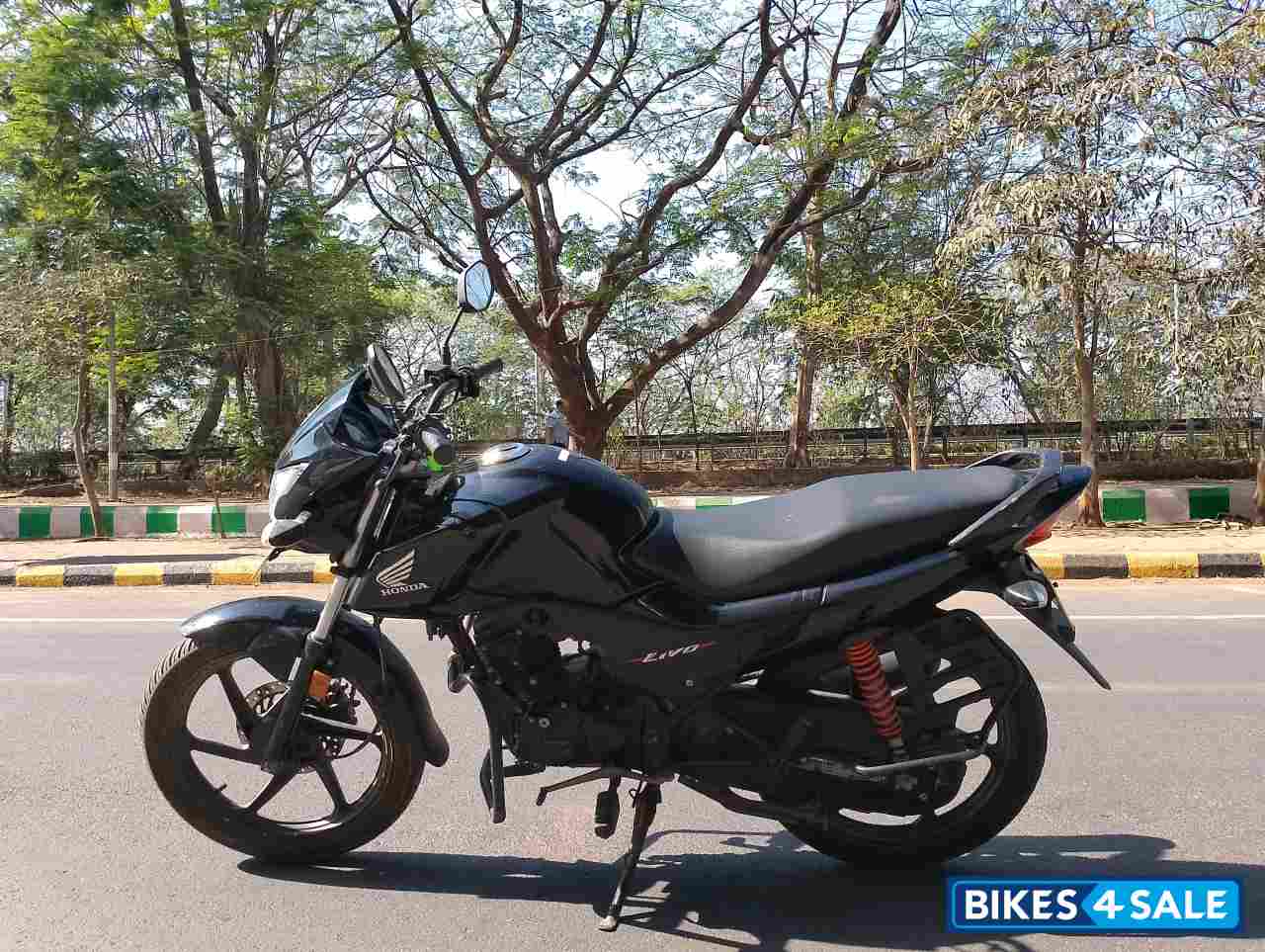 Black Honda Livo 110