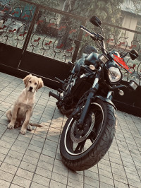 Kawasaki Vulcan S 650