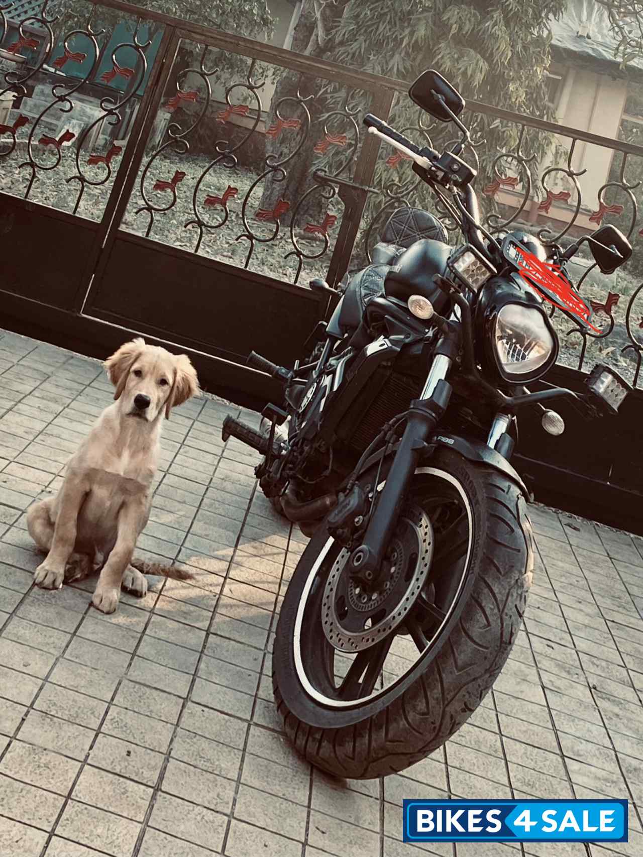 Kawasaki Vulcan S 650