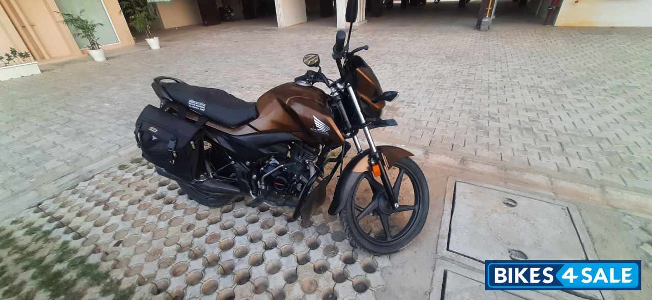 Brown Silver Honda Livo 110