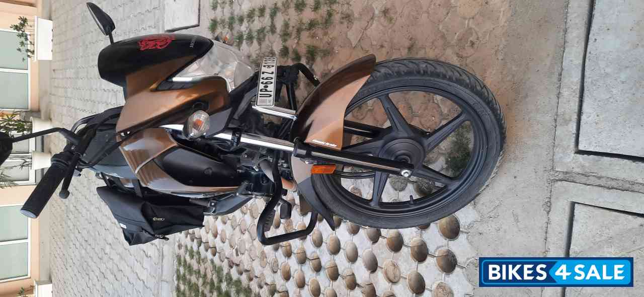 Brown Silver Honda Livo 110