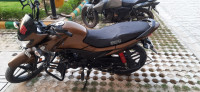 Brown Silver Honda Livo 110