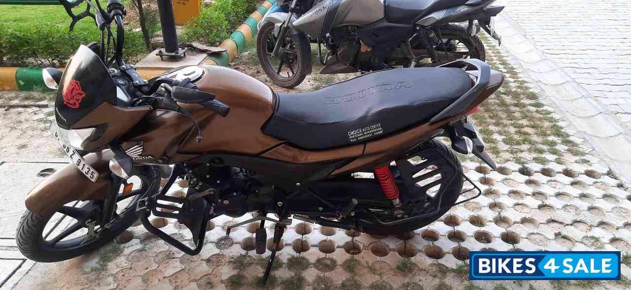 Brown Silver Honda Livo 110