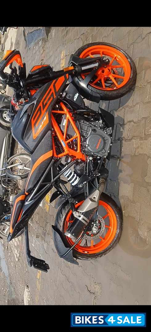 Dark Galwano Matt KTM Duke 250 2022
