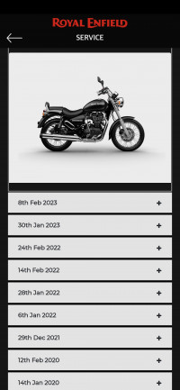 Lightening (metallic Steel Gre Royal Enfield Thunderbird 500