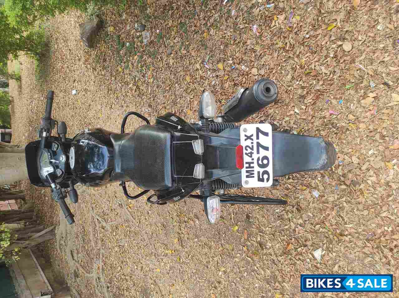 Black Bajaj Pulsar 180 DTSi