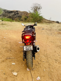 Ebony Kawasaki Ninja 300 BS6 2022