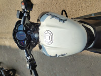 Whitegray Bajaj Pulsar NS200