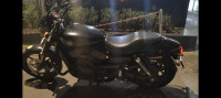 Harley Davidson Street 750 2017 Model