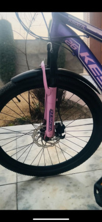 High In Demand Matte Purple An Bicycle  KEYSTO KS007L (MTB)