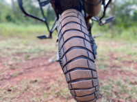 M K Green Triumph Tiger 800 XCA