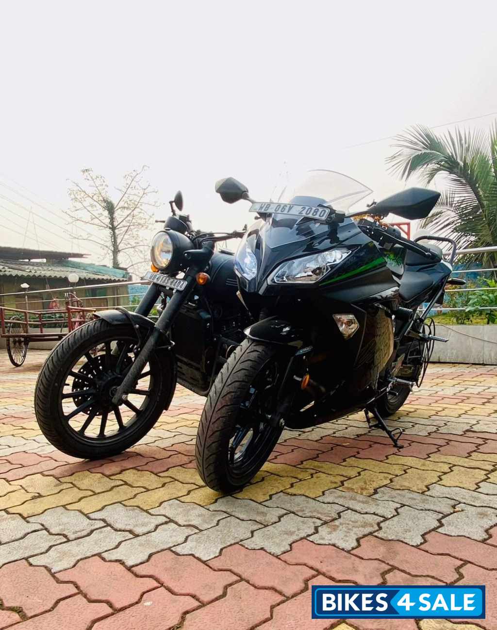 Kawasaki Ninja 300 BS6