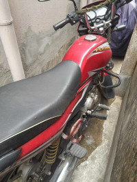 Cocktail Wine Red Bajaj Platina 100 ES