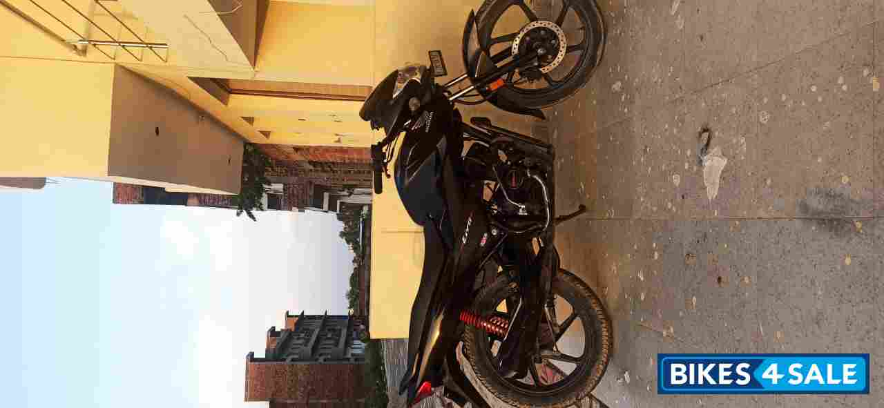 Black Honda Livo 110