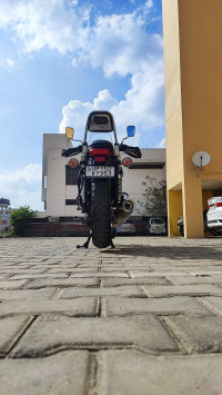 Auburn Black Bajaj Avenger Cruise 220 BS6