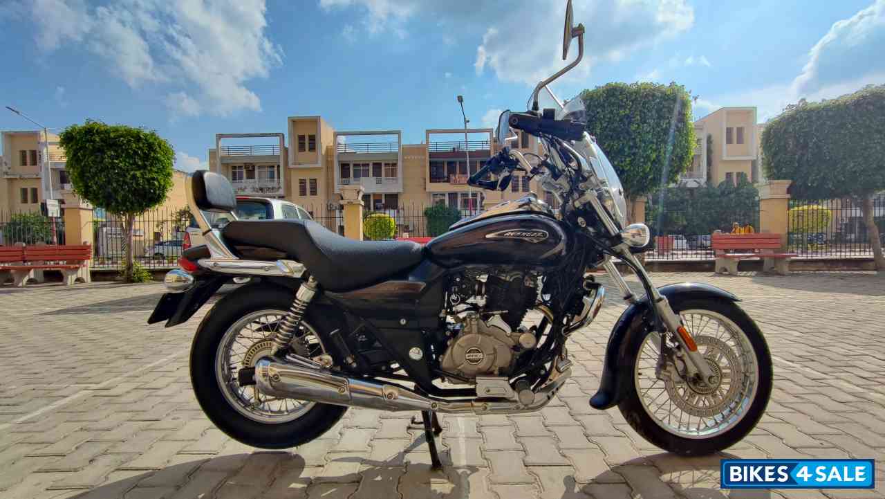 Auburn Black Bajaj Avenger Cruise 220 BS6