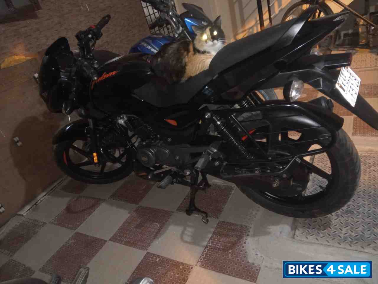 Black Bajaj Pulsar 125 Split Seat