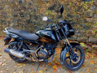 Bajaj Pulsar 125 2019 Model