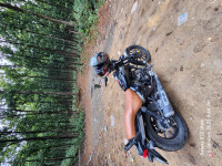 Bajaj Avenger Street 160