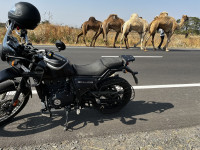 Royal Enfield Himalayan BS VI 2021 Model