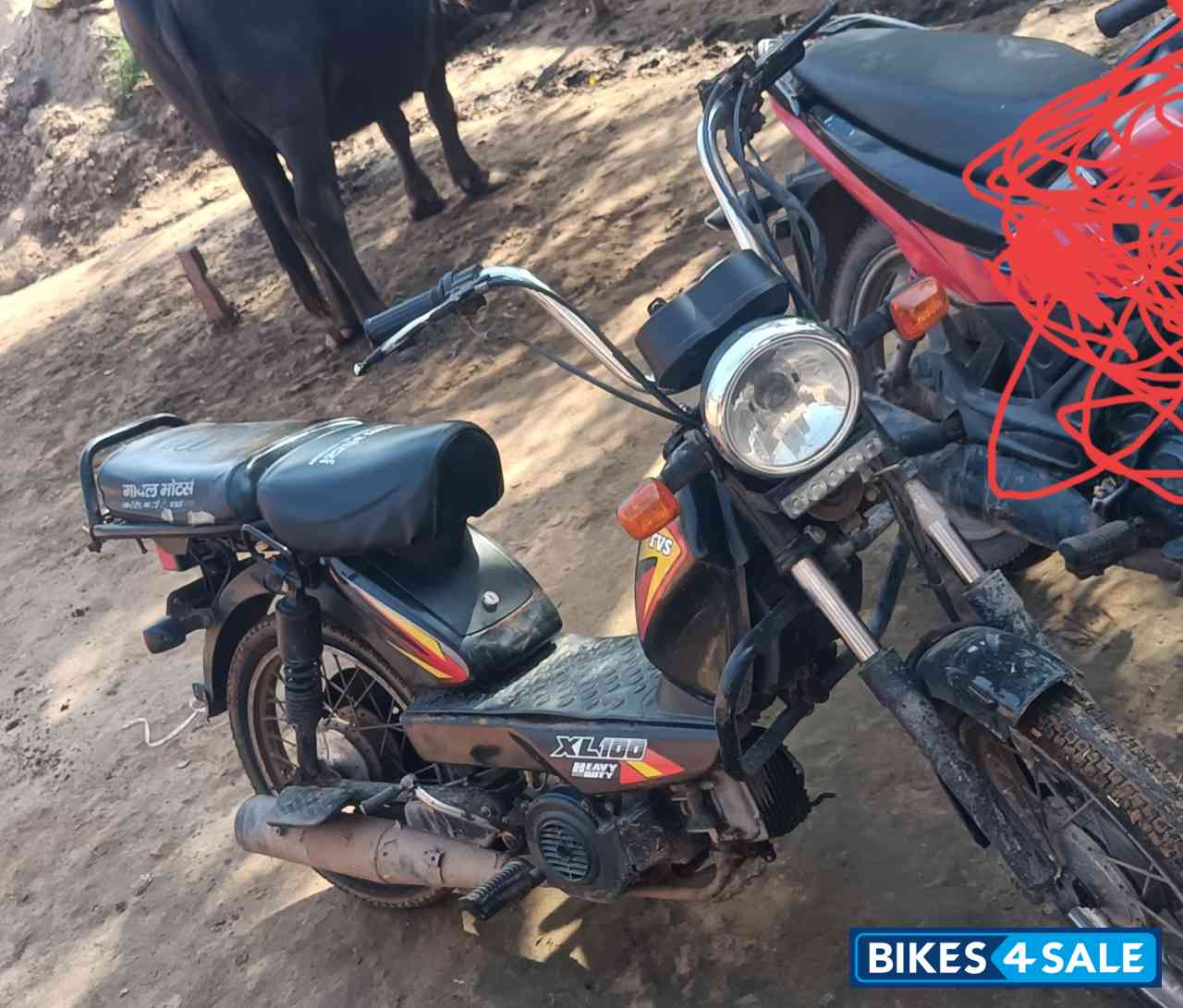 Red Black TVS XL 100 Heavy Duty