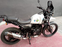 Snow White Royal Enfield Himalayan