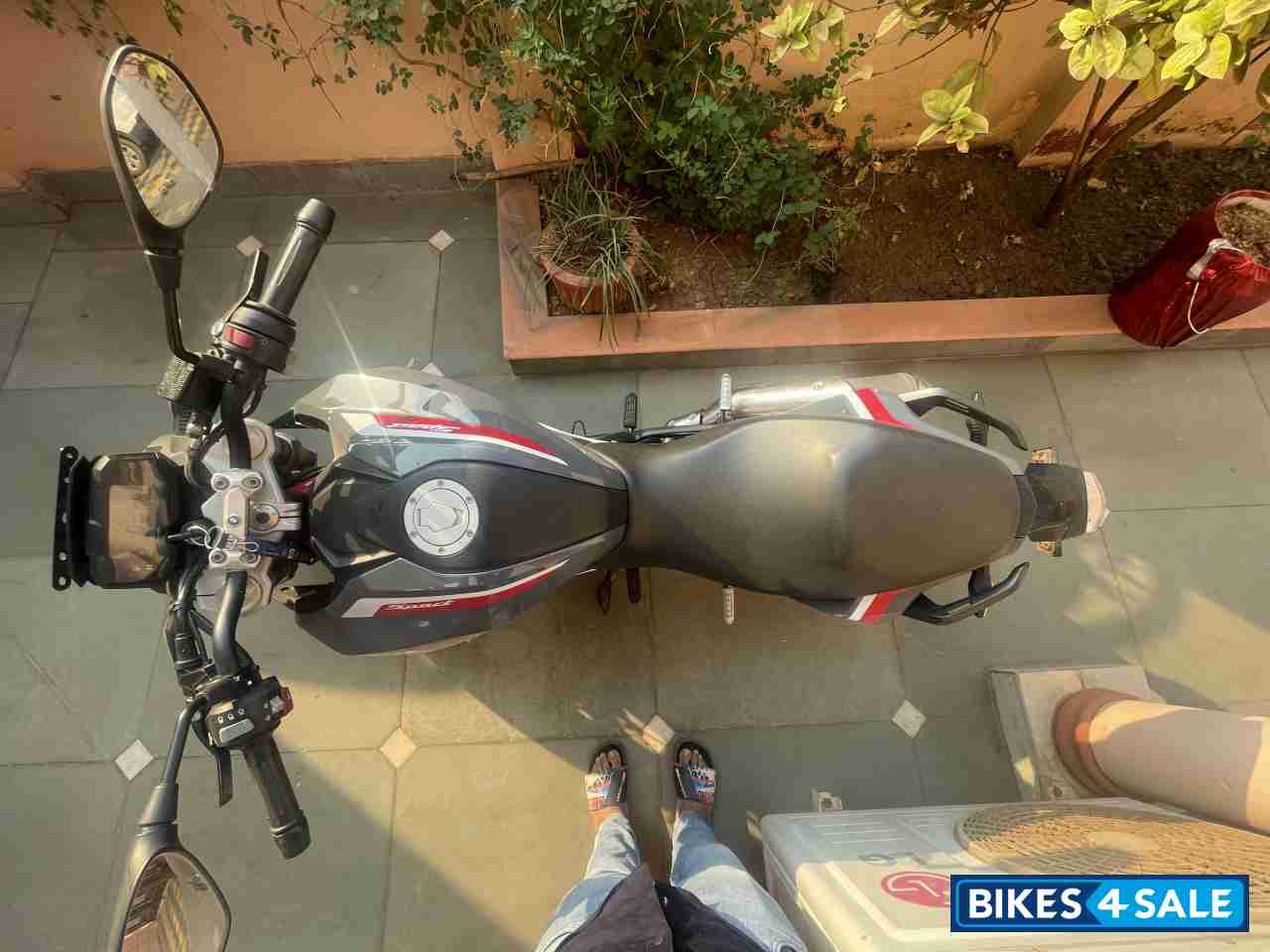 Limestone Metallic BMW G 310 R