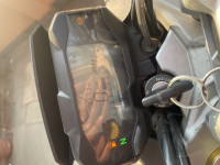 Limestone Metallic BMW G 310 R