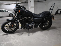 Denim Black Harley Davidson Iron 883