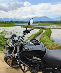 Mahindra Mojo 300 ABS BS6