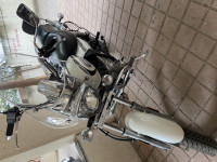 Moon White Bajaj Avenger Cruise 220