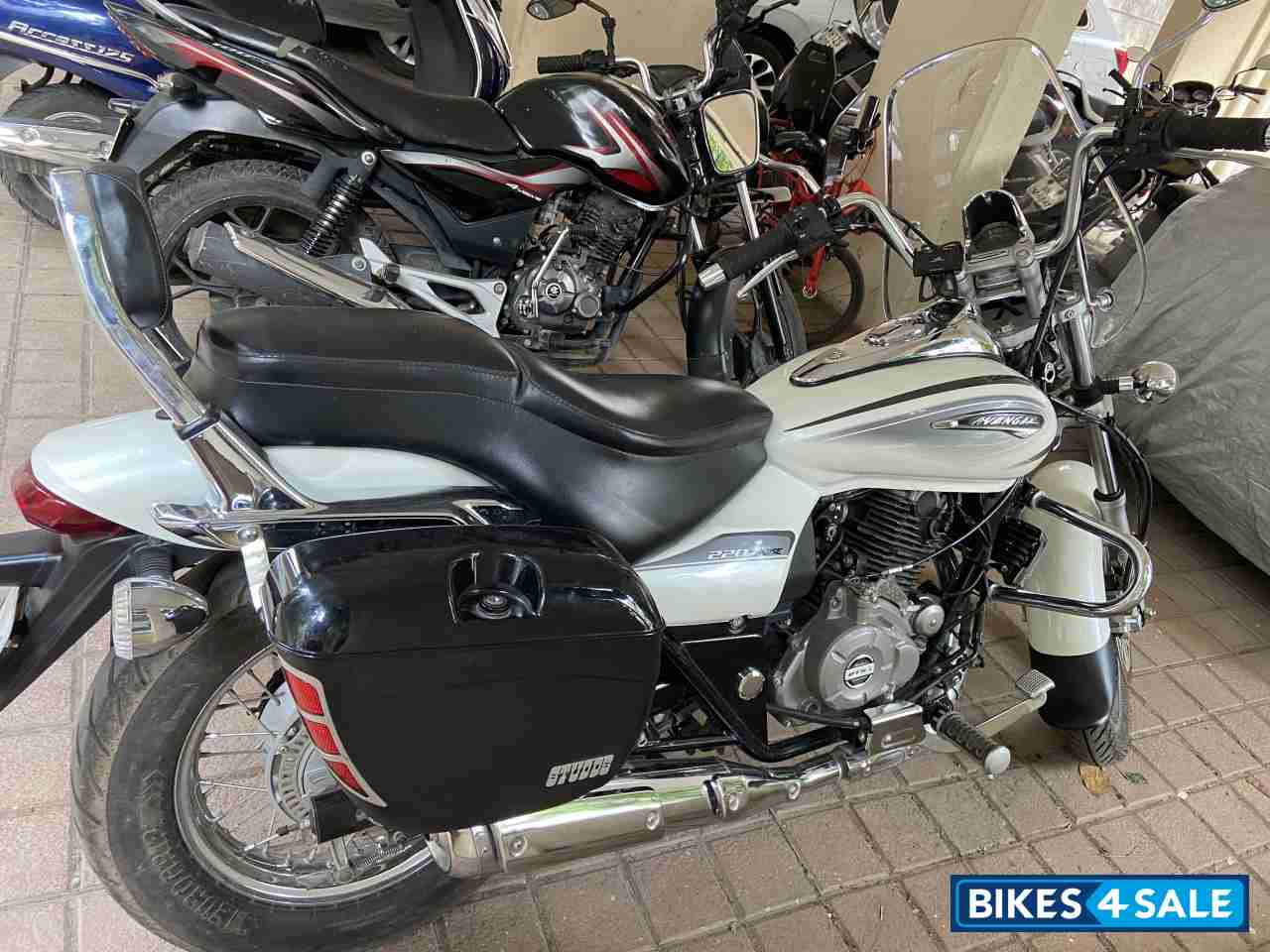 Moon White Bajaj Avenger Cruise 220 Moon White Bajaj Avenger Cruise 220