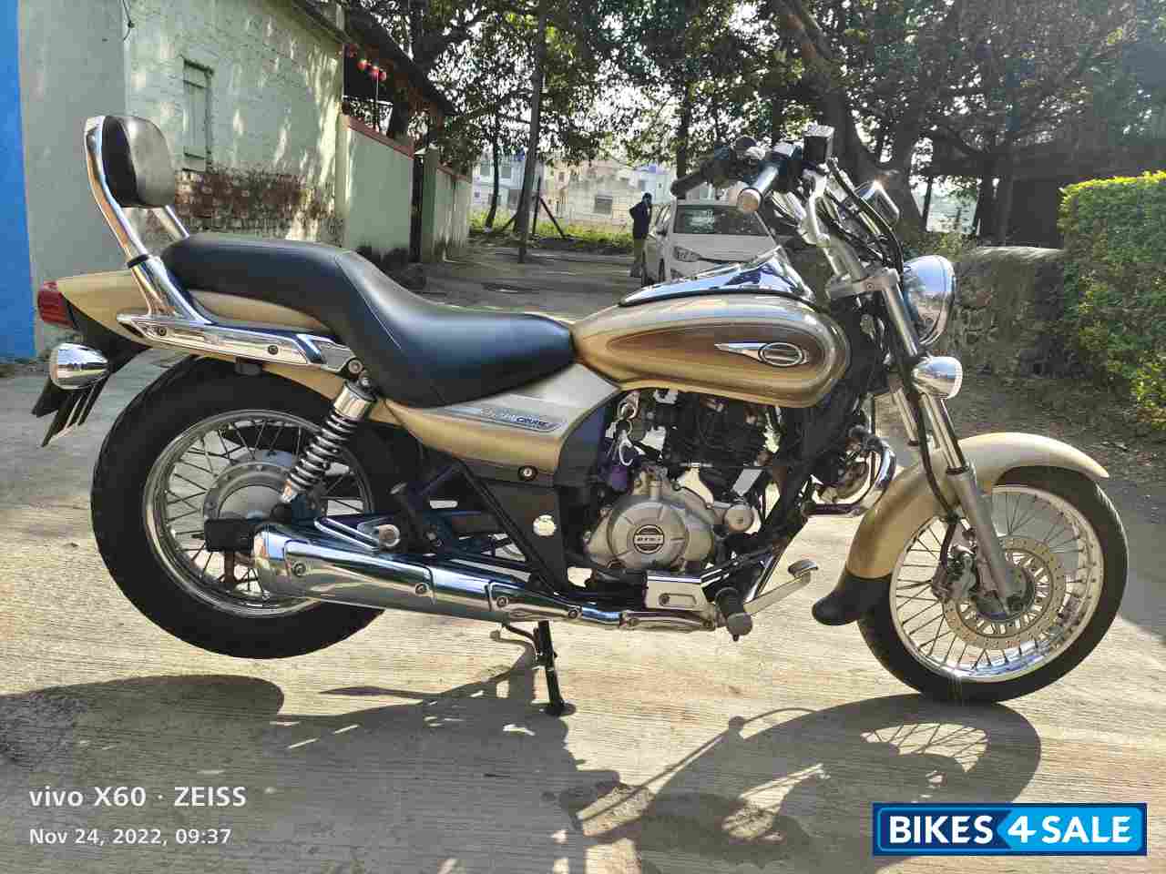 Desert Gold Bajaj Avenger Cruise 220