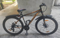 Bicycle  Corrado V33-24SP