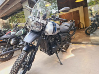 Grey Yezdi Adventure Gloss