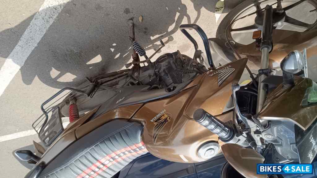 Metalic Brown Honda Livo 110