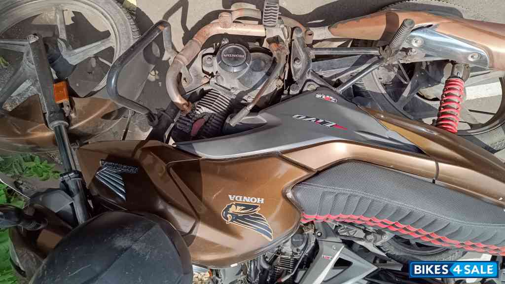 Metalic Brown Honda Livo 110